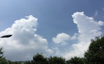 初三的变化作文6篇