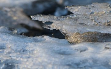 冰雪电影观后感最新5篇