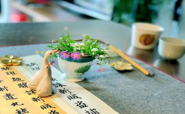 不同的我作文600字模板7篇