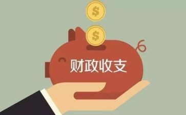 财政局自查报告5篇