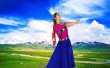 藏舞舞蹈教案最新5篇