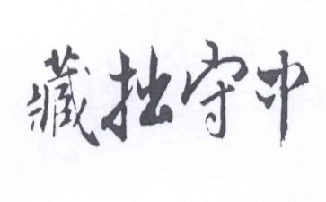 关于藏拙的作文最新6篇