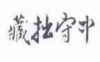关于藏拙的作文最新6篇