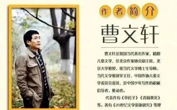 曹文轩的根鸟的读后感6篇