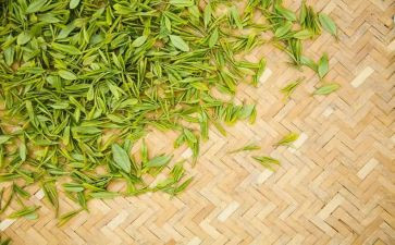 有关茶的作文推荐5篇