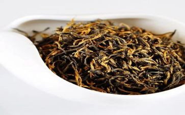 奶茶喝后感作文8篇
