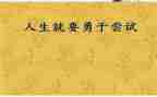 尝试的作文300字作文5篇