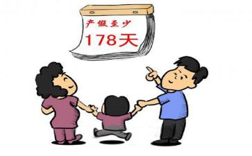 c产假申请书模板8篇