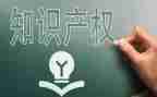 学知识产权的心得体会5篇