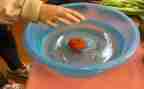 幼儿园科学课沉浮教案7篇