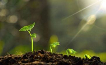 我在中成长作文800字精选8篇