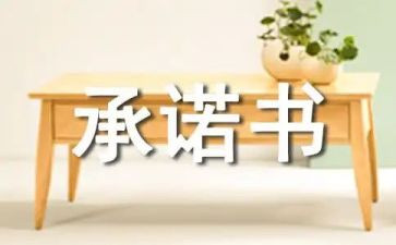 网络安全承诺书范文7篇