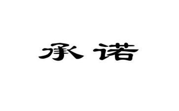廉洁个人承诺书7篇