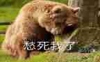 愁的滋味作文600字8篇