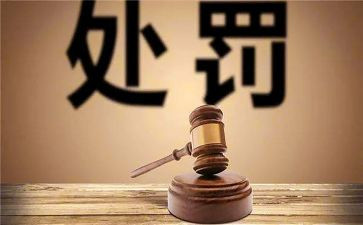 扯处分申请书精选8篇
