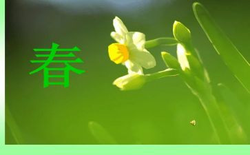 400字的春节作文模板6篇