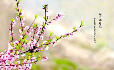 与关春节的作文精选5篇