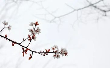 时光匆匆的作文5篇