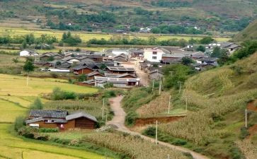 卫生村工作报告5篇