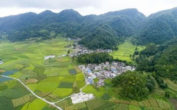 农村调查报告推荐7篇