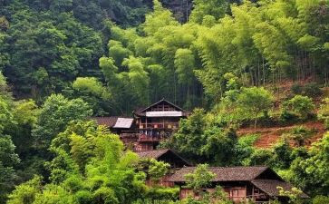 村工作年度总结报告精选8篇