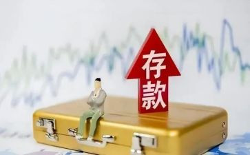 2024年存款保险活动总结精选8篇