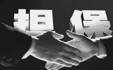 担保合同最新6篇