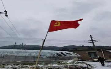 教师党员转正前的思想汇报优质6篇