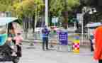 到岗后工作总结报告范文参考7篇