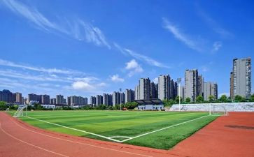 大学毕业生自我鉴定1000字参考8篇