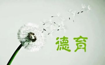 2023年德育处工作计划优质8篇