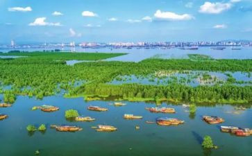 2024年销售房地产的工作总结优质6篇