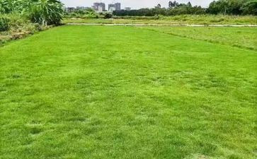 非承包地承包合同推荐6篇