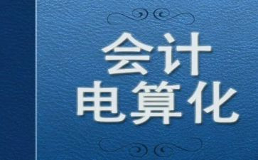 电算化实践总结报告5篇