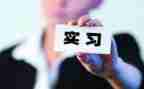 大学生顶岗工作总结最新7篇