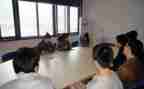出纳顶岗工作报告6篇