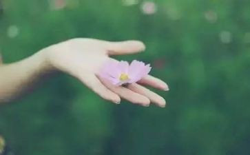 我懂得了老师的心作文6篇