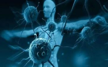禁毒学校宣传领导讲话稿7篇