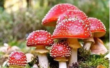 年度禁毒宣传工作计划7篇