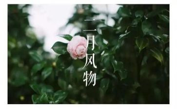 二月幼儿园工作计划推荐8篇