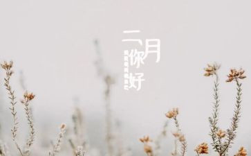 幼儿园十二月份小班工作总结5篇