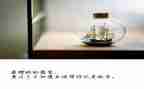 放飞梦想青春的演讲稿5篇