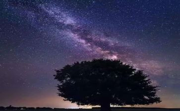 《繁星》的读后感参考5篇