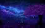 四年级繁星教案6篇