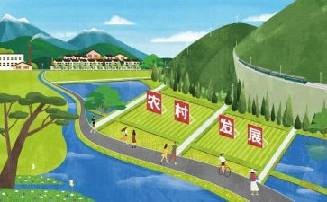 论教师的专业发展心得体会最新5篇