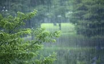 风雨中的他作文5篇