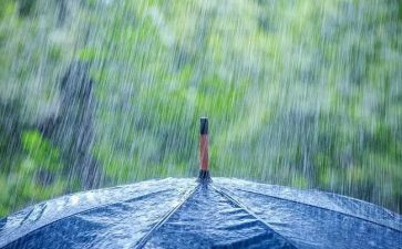 风雨中作文优质5篇