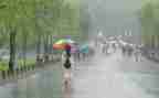 风雨作文400字8篇