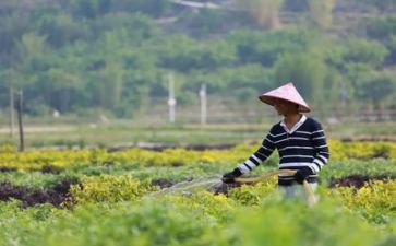 大扶贫工作报告7篇