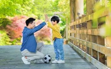 父与子读后感800字优秀8篇